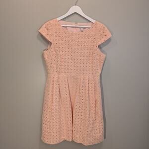 J Crew Dress In Organza Eyelet Blush Timeless Preppy Classic - Size 14